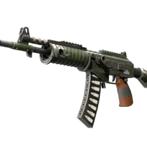 Galil AR | Vandal (Factory New)