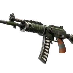 Galil AR | Vandal (Well-Worn)