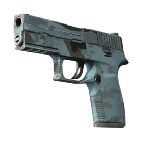 P250 | Forest Night (Field-Tested)