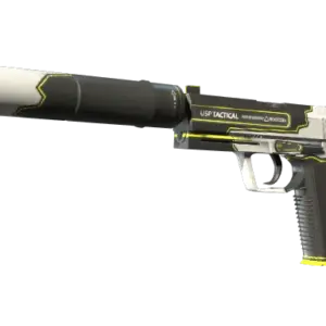USP-S | Torque (Factory New)