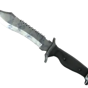 ★ Bowie Knife | Stained (Field-Tested)