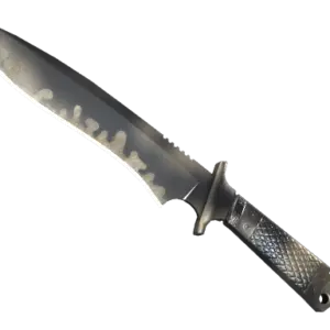 ★ Classic Knife | Scorched (Field-Tested)