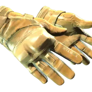 ★ Moto Gloves | Transport (Field-Tested)