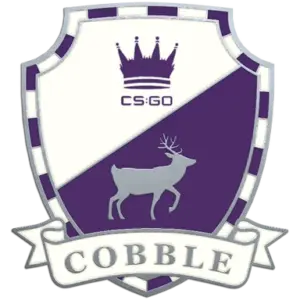 Cobblestone Pin