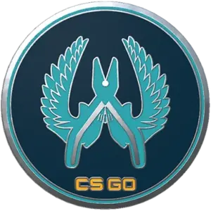 Guardian Pin