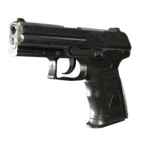 P2000 | Panther Camo (Field-Tested)