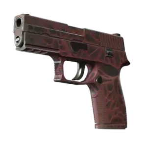 StatTrak™ P250 | Contaminant (Field-Tested)