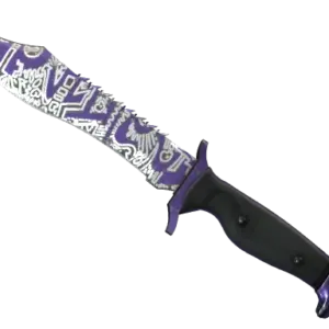★ Bowie Knife | Freehand (Field-Tested)