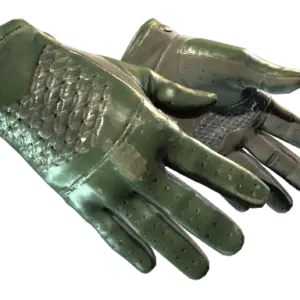 ★ Driver Gloves | Racing Green (Well-Worn)