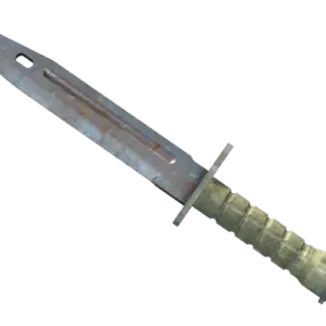 ★ StatTrak™ Bayonet | Rust Coat (Well-Worn)