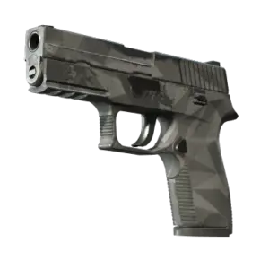 P250 | Facets (Field-Tested)