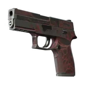 P250 | Contaminant (Battle-Scarred)