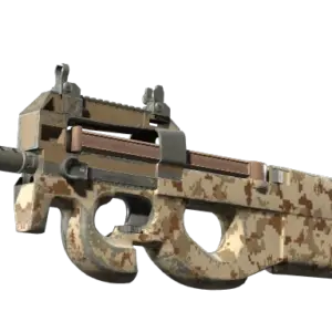 P90 | Desert DDPAT (Well-Worn)