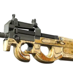 P90 | Shapewood (Well-Worn)
