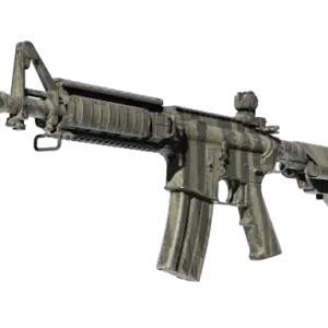StatTrak™ M4A4 | Faded Zebra (Field-Tested)