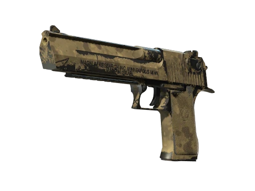 Desert Eagle | Mudder (Well-Worn)