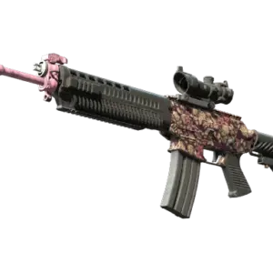 SG 553 | Desert Blossom (Well-Worn)