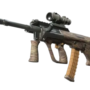 Souvenir AUG | Spalted Wood (Minimal Wear)