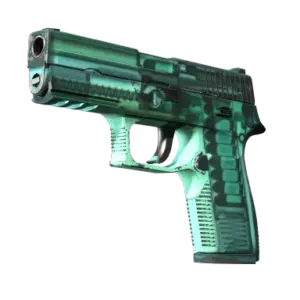 StatTrak™ P250 | X-Ray (Field-Tested)
