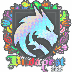 Sticker | Team Spirit (Holo) | Budapest 2025