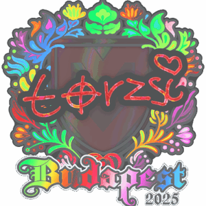 Sticker | torzsi (Holo) | Budapest 2025