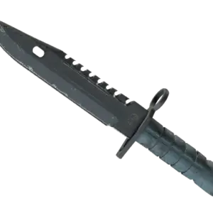 ★ M9 Bayonet | Night (Field-Tested)
