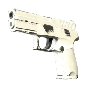 P250 | Whiteout (Well-Worn)