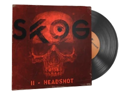 StatTrak™ Music Kit | Skog, II-Headshot