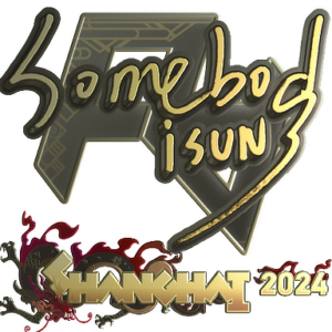 Sticker | somebody (Gold) | Shanghai 2024