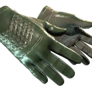 ★ Driver Gloves | Racing Green (Factory New)