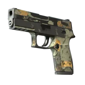 P250 | Modern Hunter (Battle-Scarred)