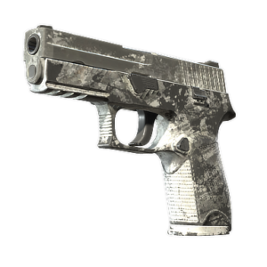 P250 | Sleet (Battle-Scarred)