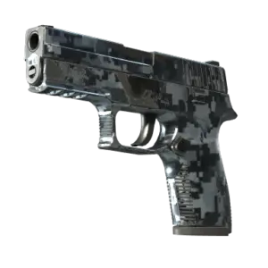 P250 | Steel Disruption (Field-Tested)