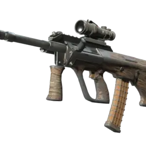 Souvenir AUG | Spalted Wood (Well-Worn)