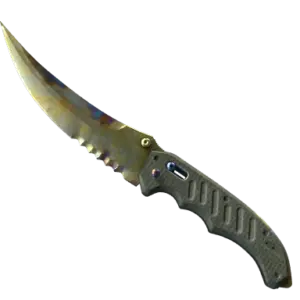 ★ Flip Knife | Case Hardened (Well-Worn)