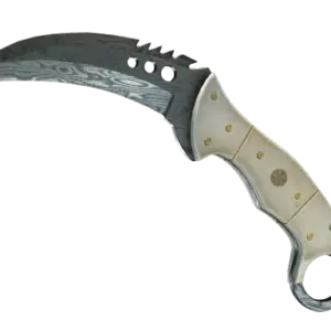 ★ Talon Knife | Damascus Steel (Battle-Scarred)