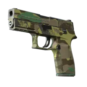 P250 | Boreal Forest (Well-Worn)