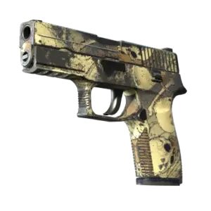 P250 | Contamination (Well-Worn)