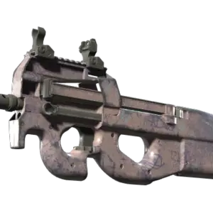 P90 | Wash me (Field-Tested)