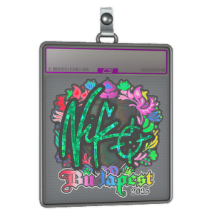 Sticker Slab | NiKo (Holo) | Budapest 2025