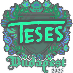 Sticker | TeSeS | Budapest 2025