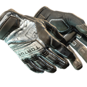 ★ Specialist Gloves | Blackbook (Battle-Scarred)
