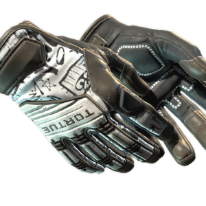 ★ Specialist Gloves | Blackbook (Field-Tested)