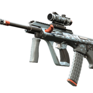 AUG | Trigger Discipline (Well-Worn)