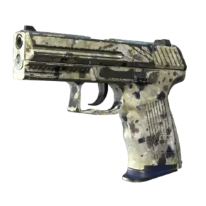 P2000 | Granite Marbleized (Well-Worn)