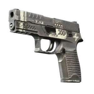 P250 | Re.built (Well-Worn)