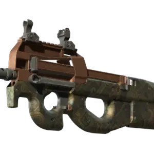 P90 | Ancient Earth (Minimal Wear)
