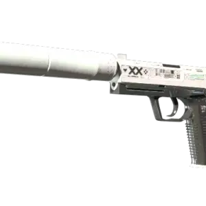 StatTrak™ USP-S | Printstream (Well-Worn)