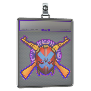 Sticker Slab | Master Guardian Elite (Holo)
