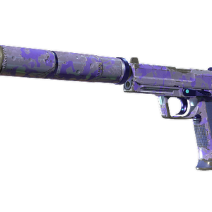 USP-S | Sleeping Potion (Well-Worn)